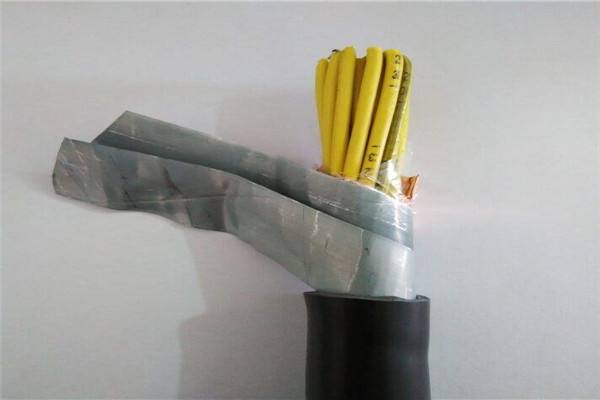 kvv22 control cable.jpg